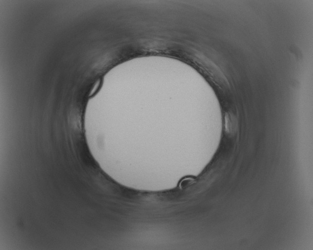X0000116461155200912292002