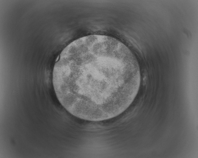 X0000116461156200912292001