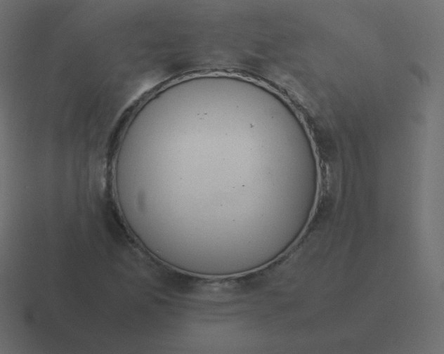 X0000116461165200912292001
