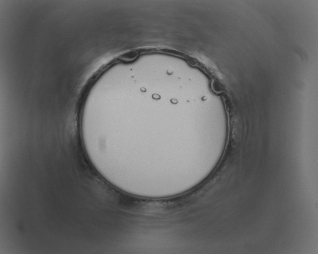 X0000116461167200912292001