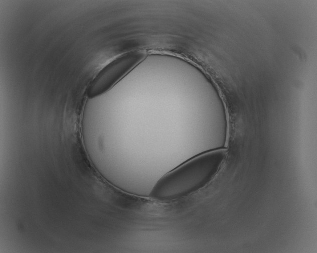 X0000116461169200912292001