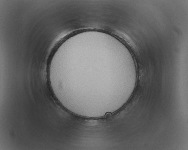 X0000116461172200912292001