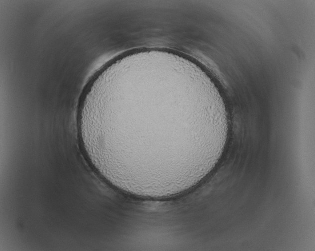 X0000116461176200912292001