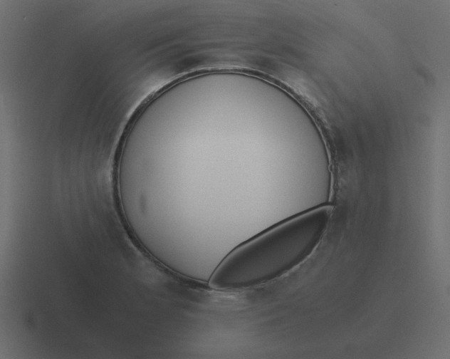 X0000116461181200912292001