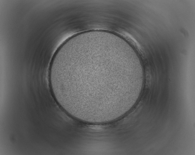 X0000116461182200912292001