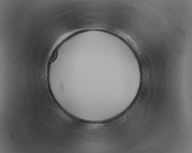 X0000116461184200912292001