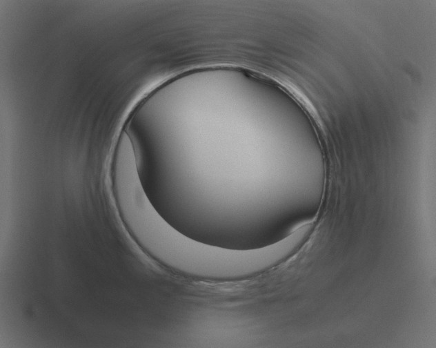 X0000116461197200912292001