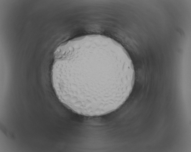 X0000116461201200912292000
