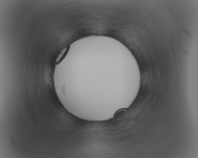 X0000116461202200912292000