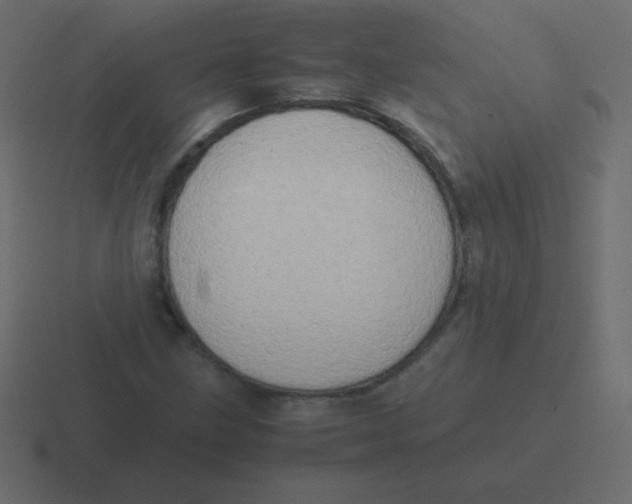 X0000116461211200912292000