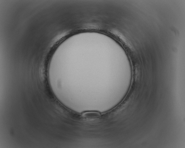 X0000116461213200912292000