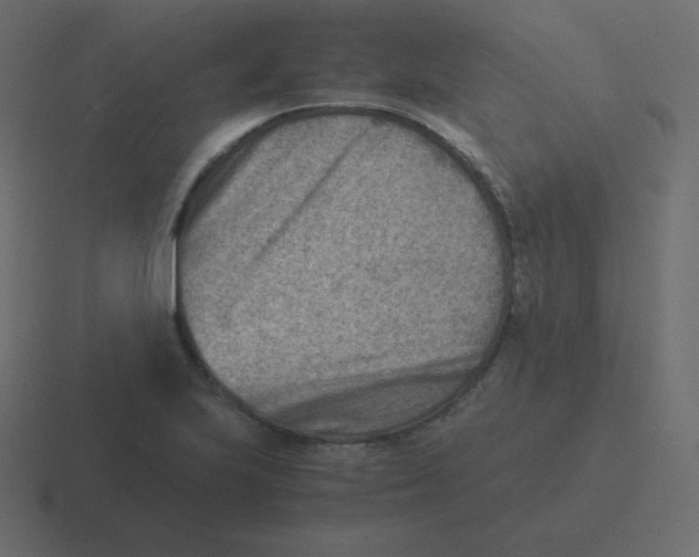 X0000116461223200912292001