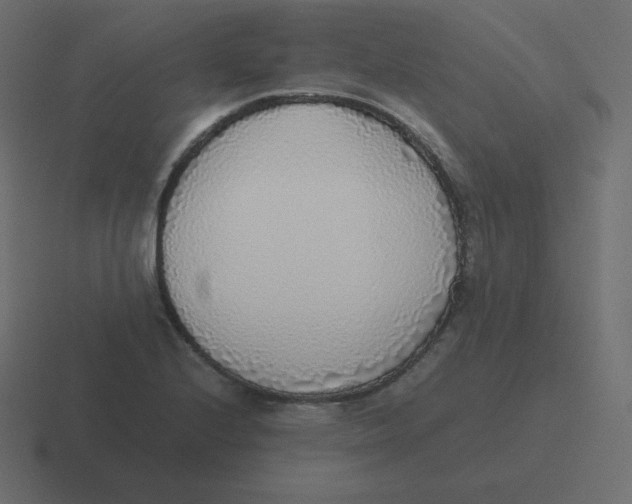 X0000116461224200912292001