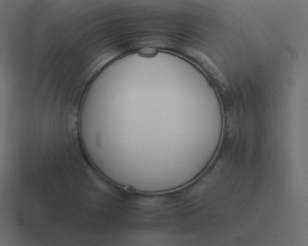 X0000116461225200912292001