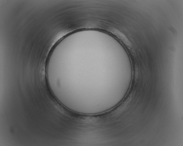 X0000116461226200912292001