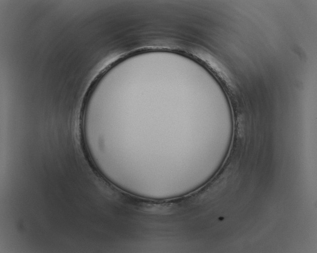 X0000116461229200912292001