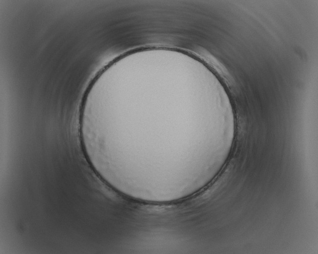 X0000116461240200912292001