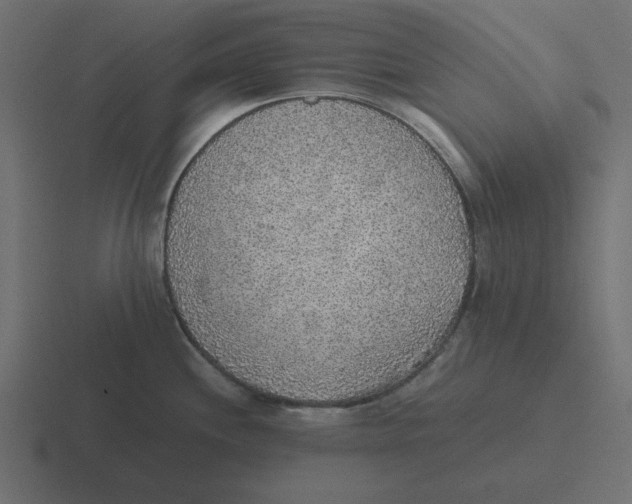 X0000116461244200912292001
