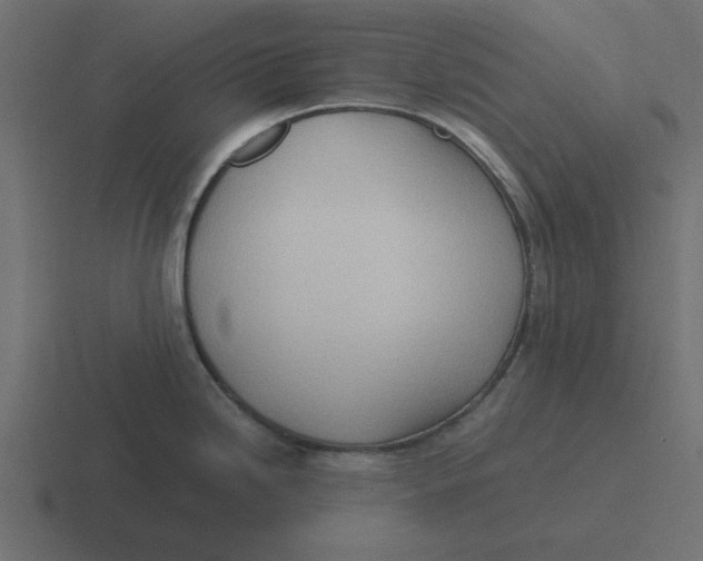 X0000116461246200912292001