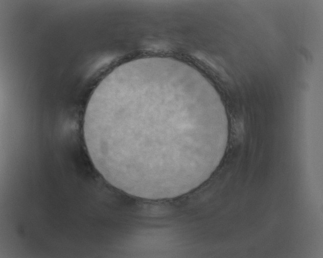 X0000116461254200912292000