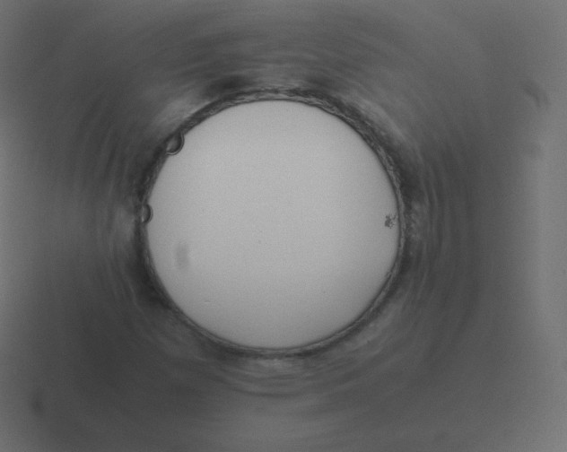 X0000116461257200912292000