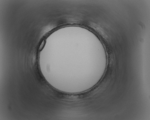 X0000116461261200912292000