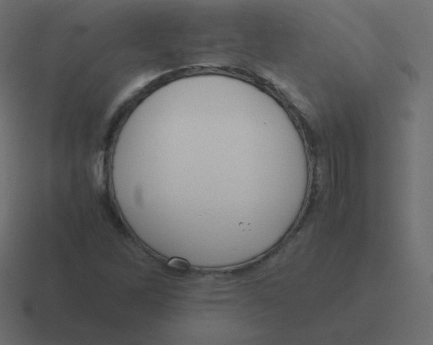 X0000116461262200912292000