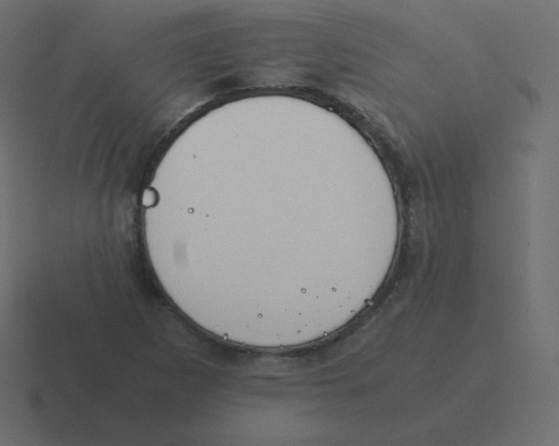 X0000116461265200912292000