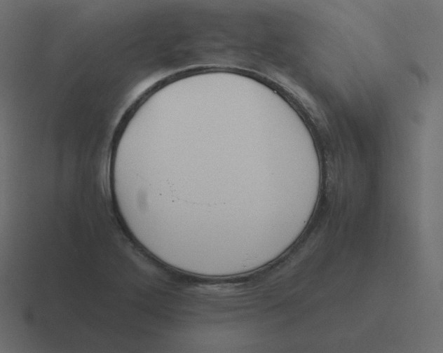 X0000116461272200912292000
