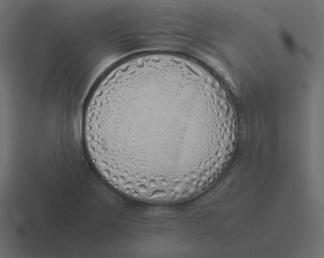 X0000116461275200912292000