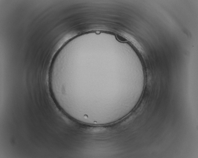 X0000116461282200912292000