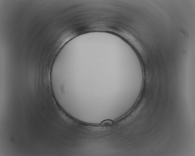 X0000116461289200912292000