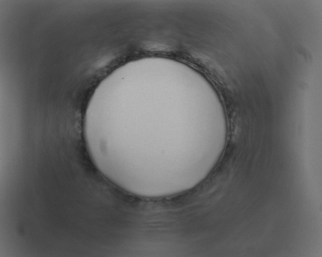 X0000116461301200912291959