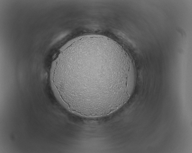X0000116461302200912291959