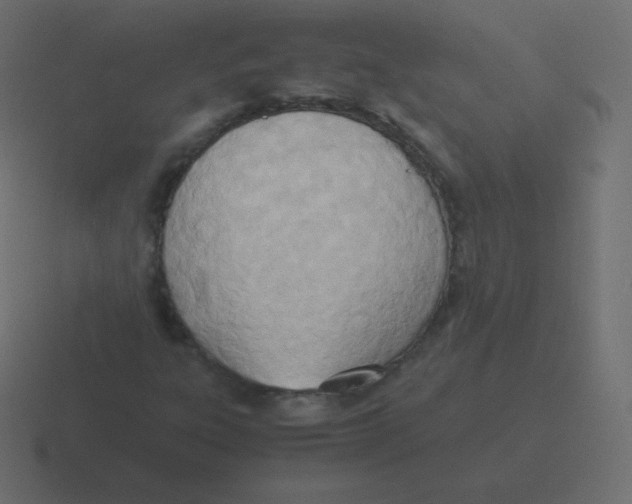 X0000116461303200912291959