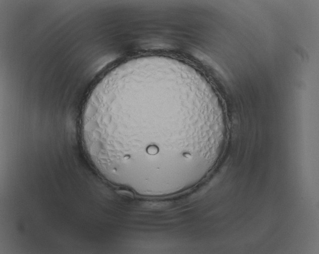 X0000116461305200912291959