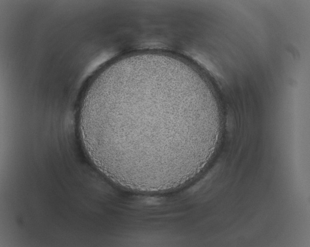 X0000116461309200912291959