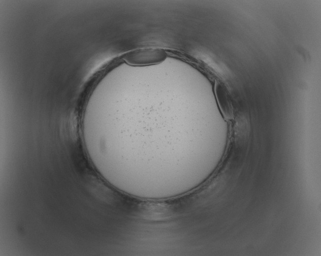 X0000116461310200912291959