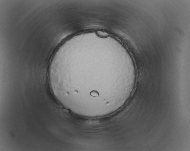 X0000116461313200912291959