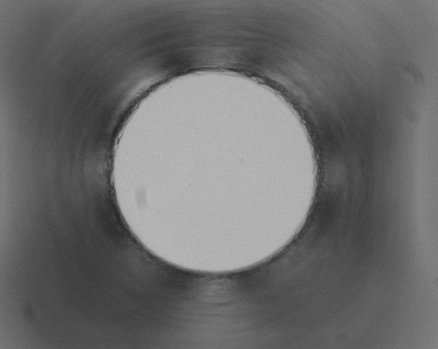 X0000116461314200912291959