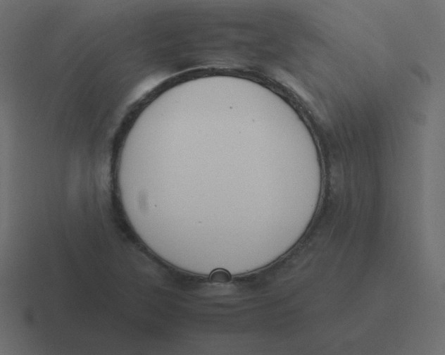 X0000116461315200912291959