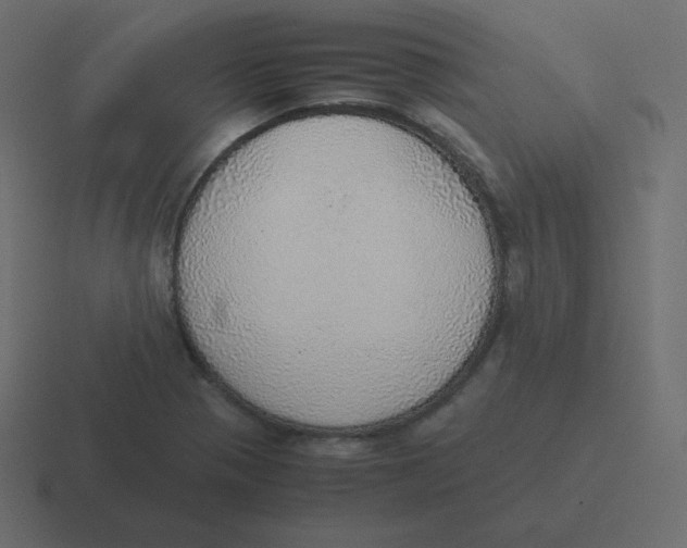 X0000116461321200912291959