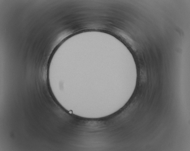 X0000116461322200912291959