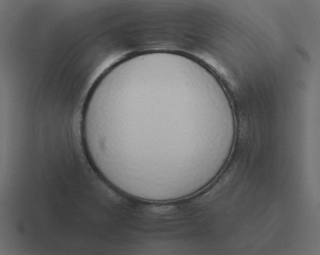 X0000116461325200912291959