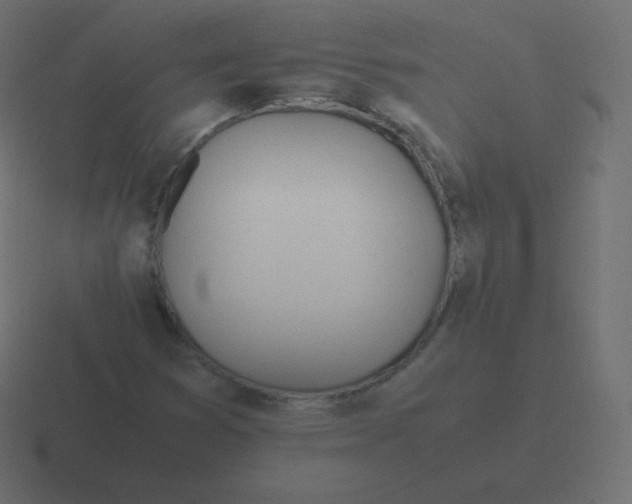 X0000116461353200912291959