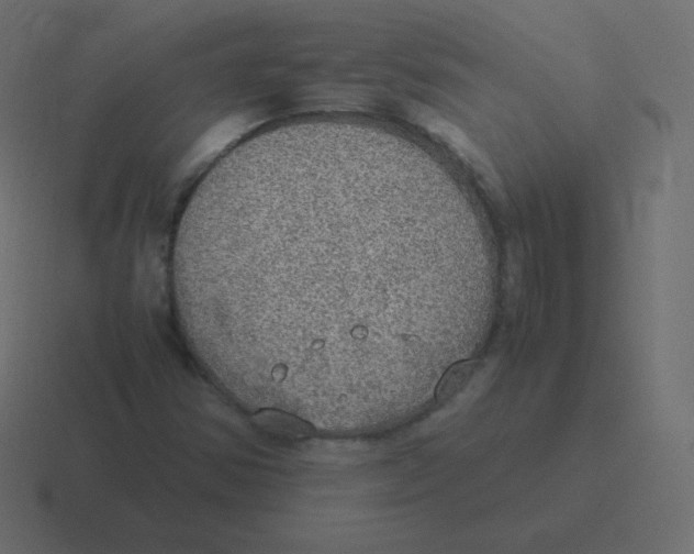 X0000116461354200912291959