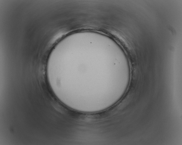 X0000116461355200912291959