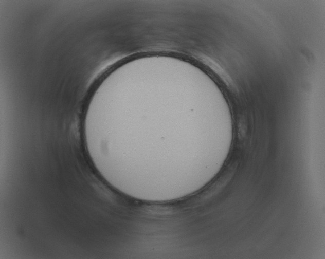 X0000116461356200912291959