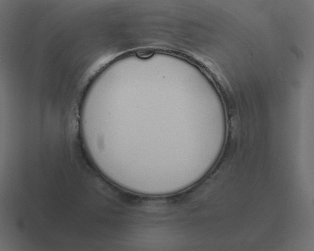 X0000116461363200912291959