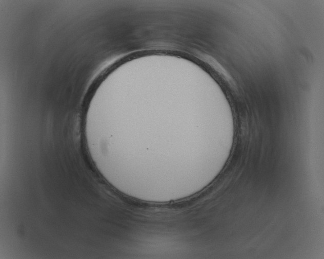 X0000116461364200912291959